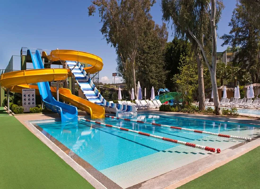 Delphin Botanik Platinum 5